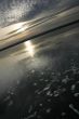 Fine ice on water.