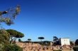 palatine panorama