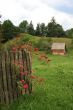 Rural landscape