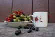 gooseberries and currants