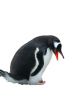 Penguin guarding her nest and egg, isolated