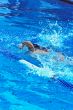 Swimmer