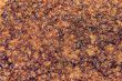 crust of brown bread