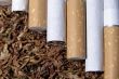 tobacco and cigarete