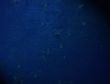 backgrounds