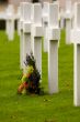 Not Forgotten