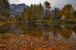 Fall of the leaf