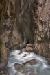 Mountain stream