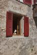 Dummy in a window