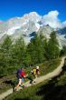 Trekkers