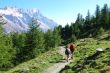 Trekkers