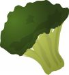 Brocolli