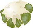 Cauliflower