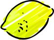 Lemon illustration