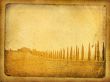 vintage postcard with classical tuscan view