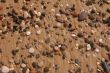 gold sand on the beach