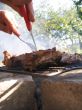 shashlik from pork