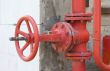 Red valve