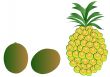 Pineapple and Kiwis