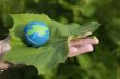 caring for the environment