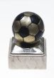 Soccer team trophy