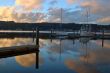 boats in the marina