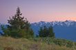 Mountain Meadow