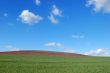 field and sky
