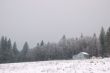 snowy afternoon