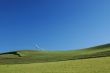 field and windmills