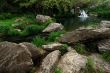 Garden of Eden