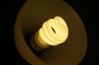 compact fluorescent light bulb
