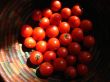 tomatoes in a basket