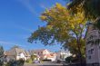 Houses in the suburbs