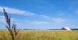 Field and Barn in Late Summer