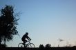 Mountain Biker Silhouette