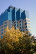 Corporate Office Building