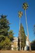 California Fixer Upper