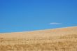 Field and Sky