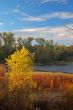 Fall colors