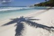 tropical beach
