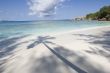 Pristine tropical beach