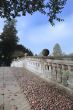 Clare College bridge