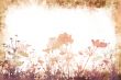 flower textures
