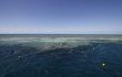 snorkeling at the great barrier reef