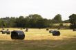 Hay Bales