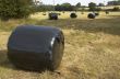 Hay bales