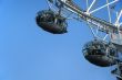 Capsules  of  London Eye