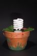 Light Bulb Potted Plant