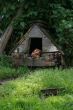 Dog house